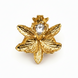 Golden Starfall