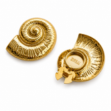 Aurelia Shell