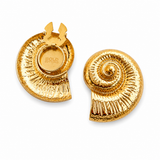 Aurelia Shell