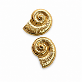 Aurelia Shell