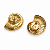 Aurelia Shell