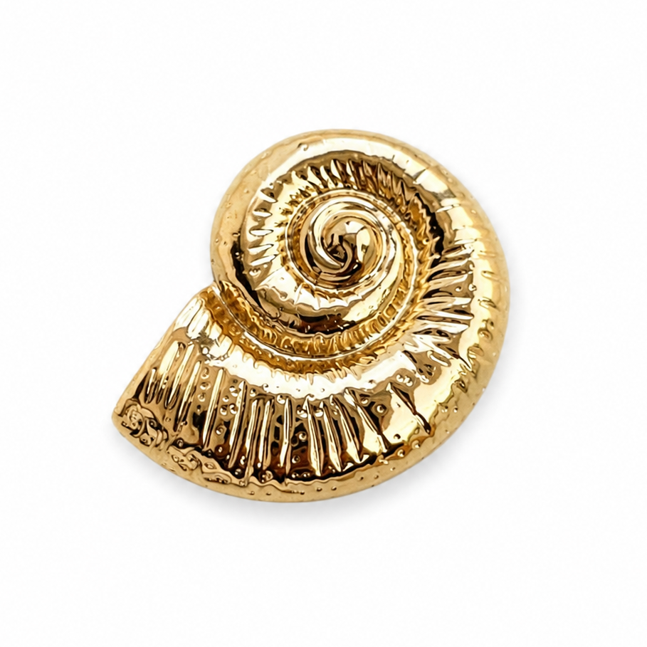 Aurelia Shell
