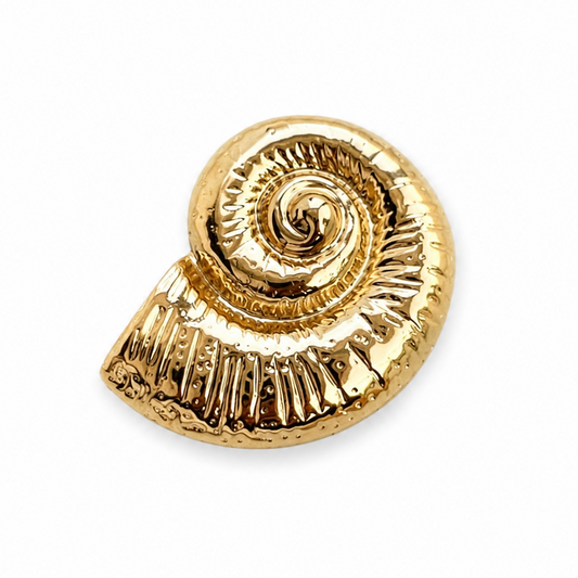 Aurelia Shell