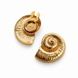 Aurelia Shell